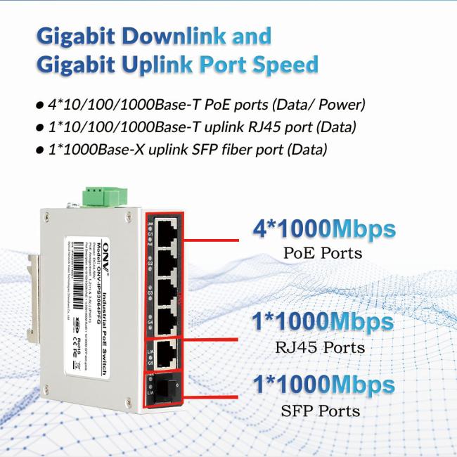 Gigabit access ports