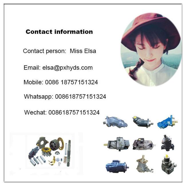 High Torque A6vm107ez4 Hydraulic Piston Motor for Drum Roller