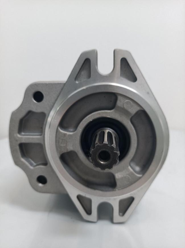 Hydraulic Gear Pump 0510225020 for Hydraulic Pump Parts