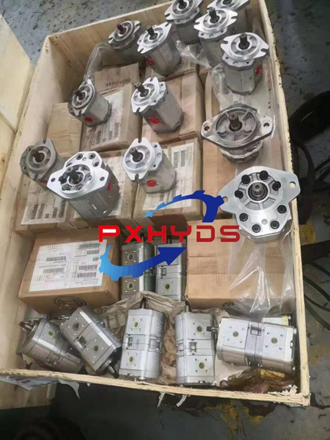 Hydraulic Pump Spare Parts Double Gear Pump