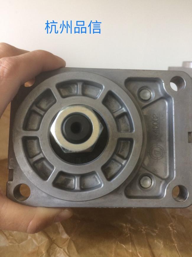 Hydraulic Original Gear Pump Spare Parts Azmf-10-016USA20ml