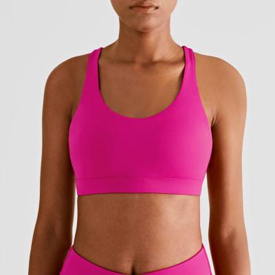China Customized Logo Adult Female Yoga Bra Padded Ladies Seamless Women Pink Sports Fitness Bra Top for sale
