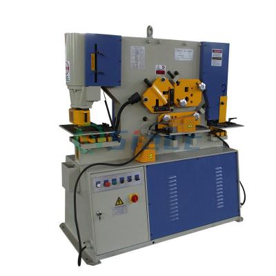 China Power Metal sheet  Punch And Shear Machine Q35Y-16 20 25 30 for sale