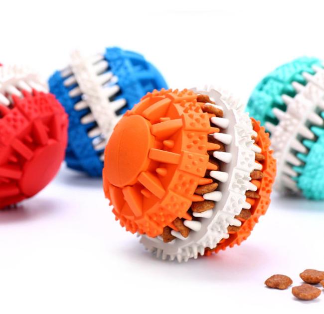 the best chew toys for dogs