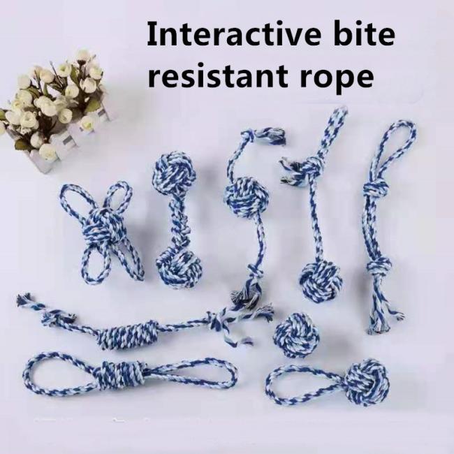 best dog rope