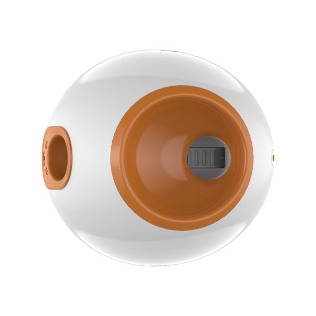 automatic dog ball