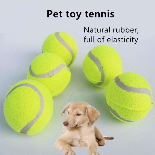hard rubber dog ball