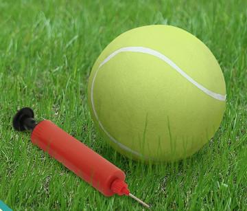 durable tennis balls for dogs
