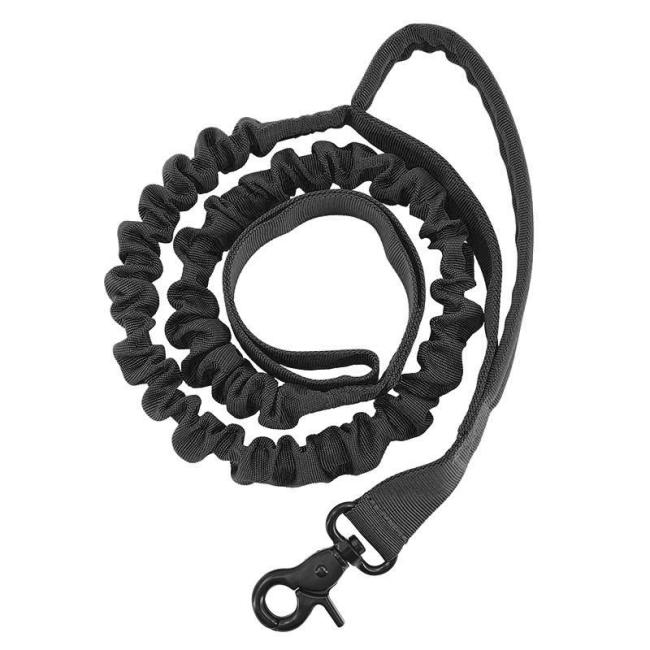best long dog leash
