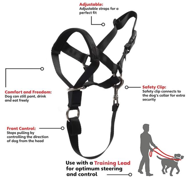over the nose dog lead