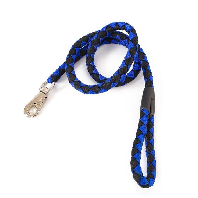 matching dog collar and lead set