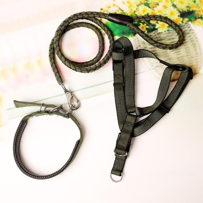 designer dog collar and lead