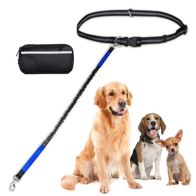 dog leash with water bowl