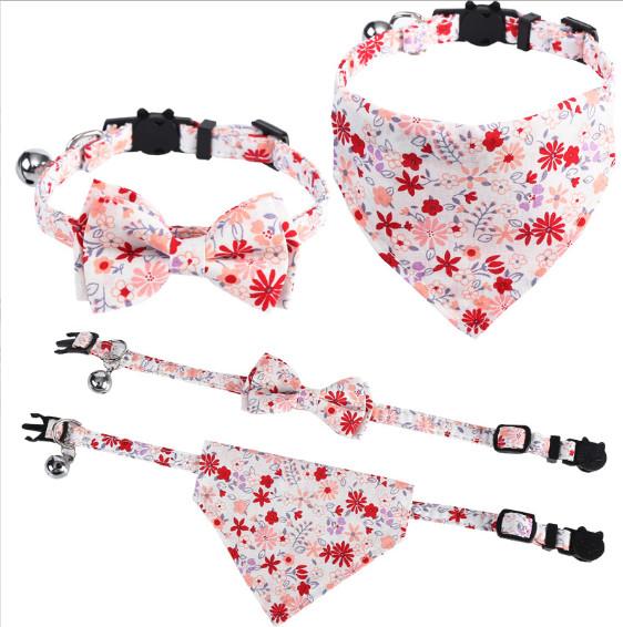 custom kitten collar