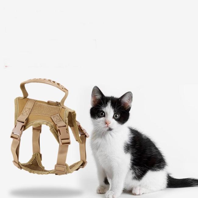 mountain dog harness