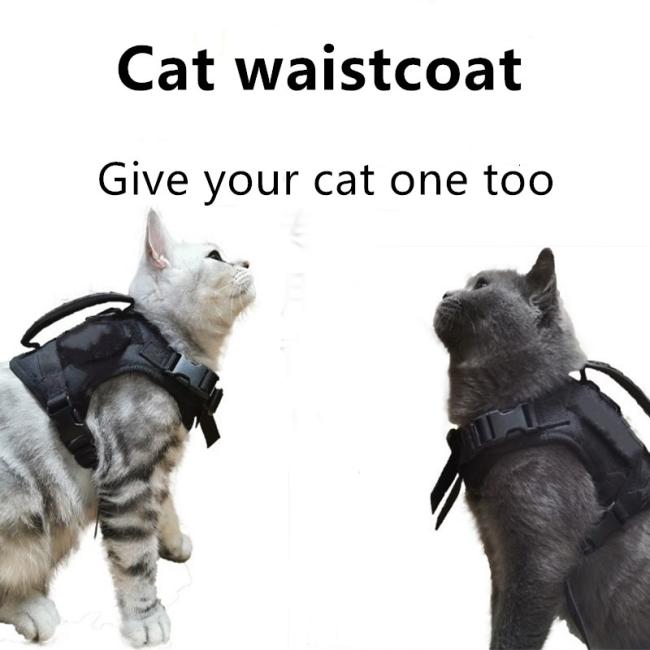 cat tactical harness