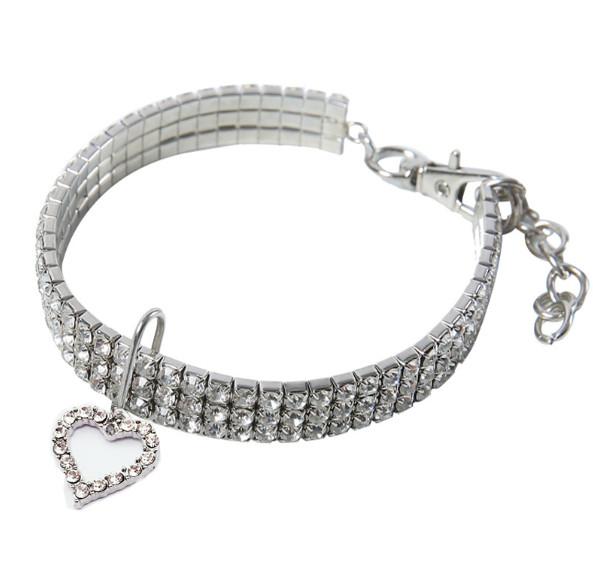 personalized kitten collar