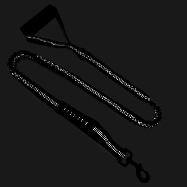 bungee leash for small dogs