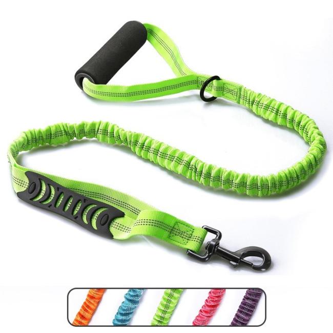 bungee leash for cats