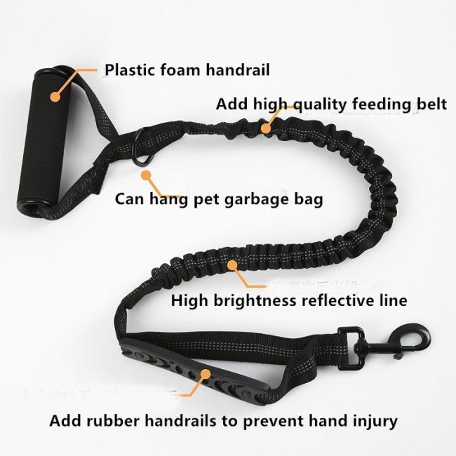 kitten lead