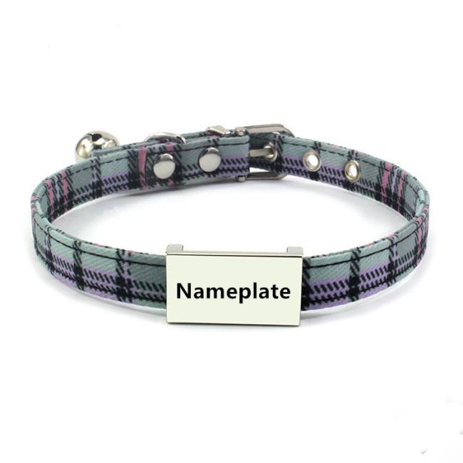 dog collar with name plate