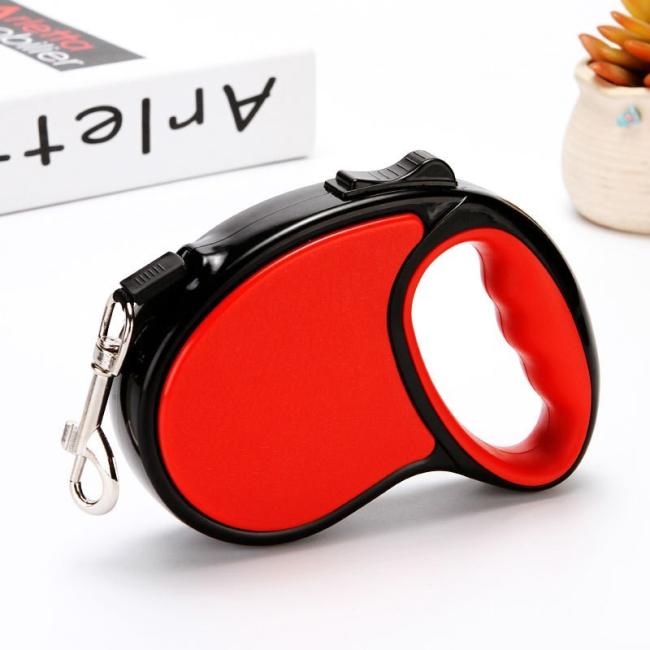retractable cat lead