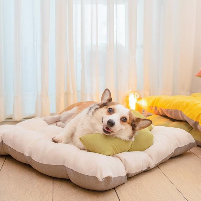 big dog beds amazon