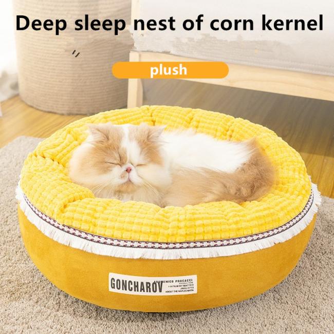 Trendy dog beds