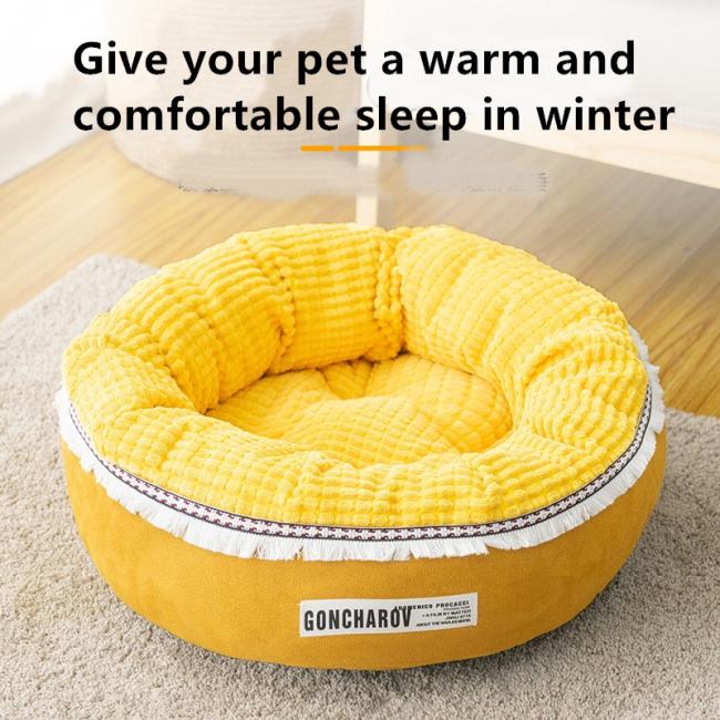 Trendy dog beds