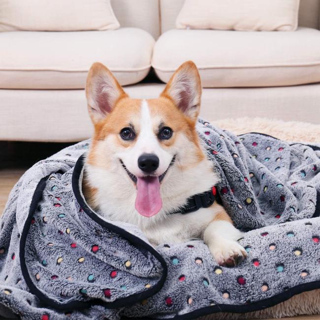 pink dog blanket