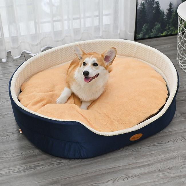 best dog beds for dachshunds