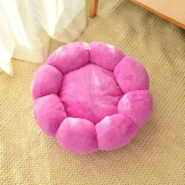 purple dog mattress