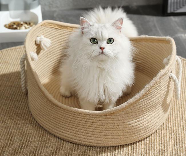 cat bed rattan