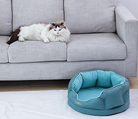 funky cat beds