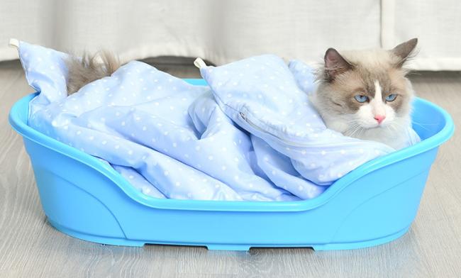 plastic cat bed