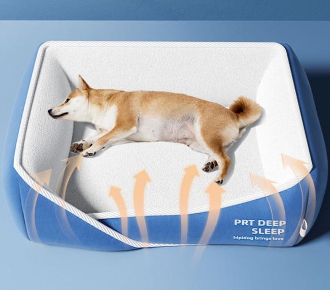large cat beds amazon