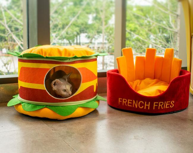 pretty cat beds