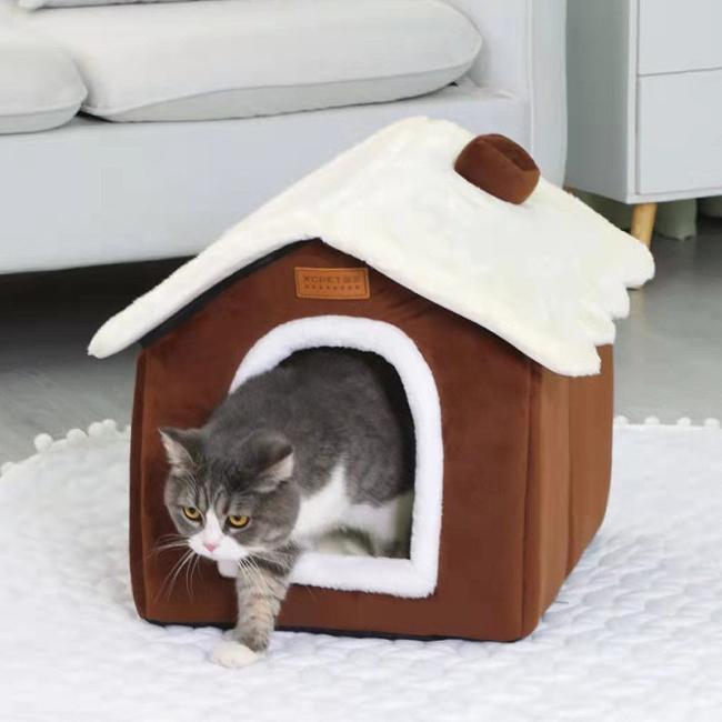 patio dog bed