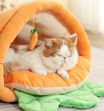 cozy cat cave