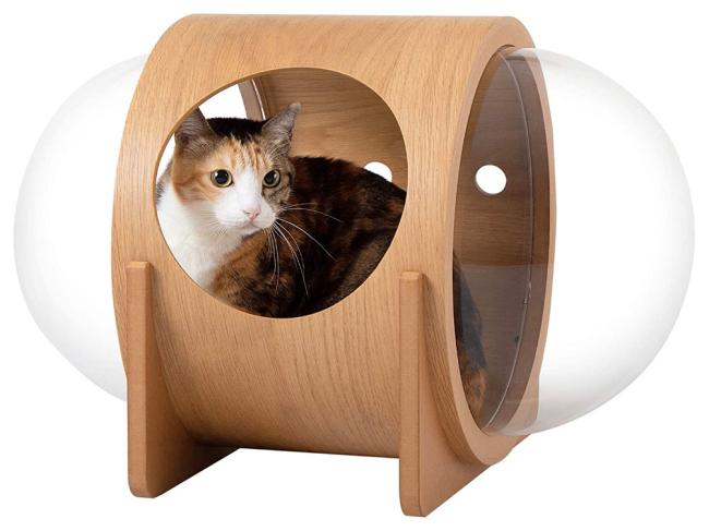 cat bed capsule