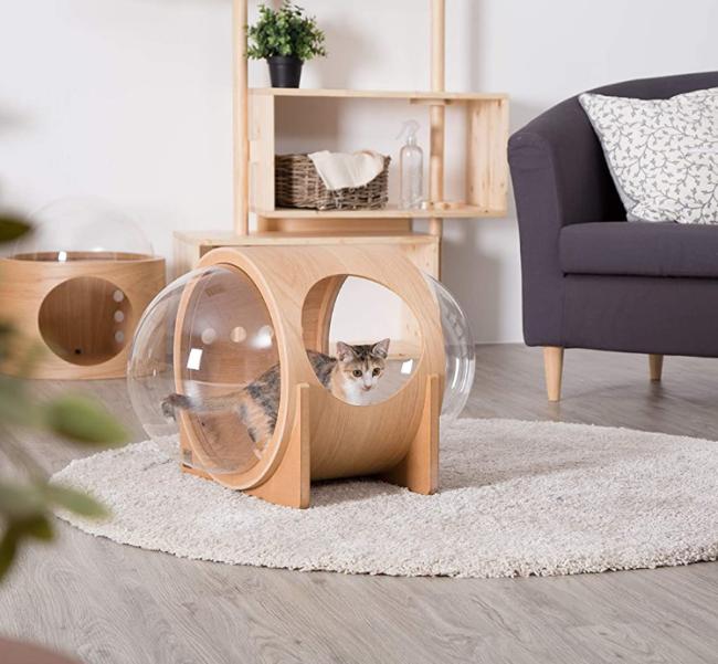 capsule bed for cats