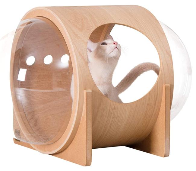 capsule cat bed