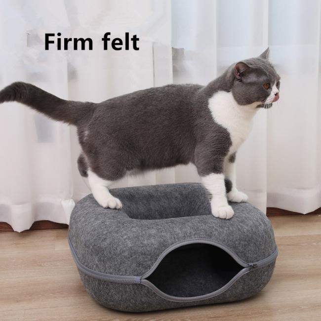 hard cat bed