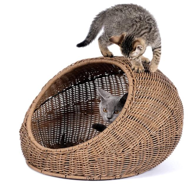 hanging cat bed wicker