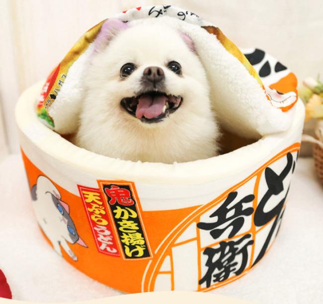 extra large covered cat bed