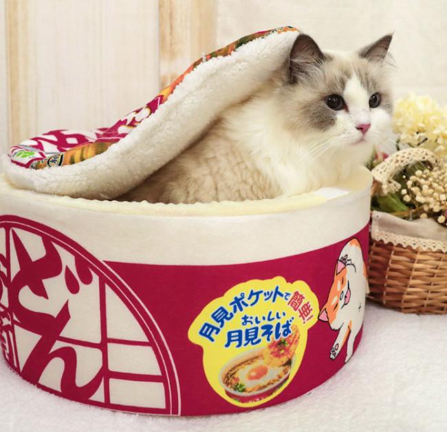 extra large covered cat bed