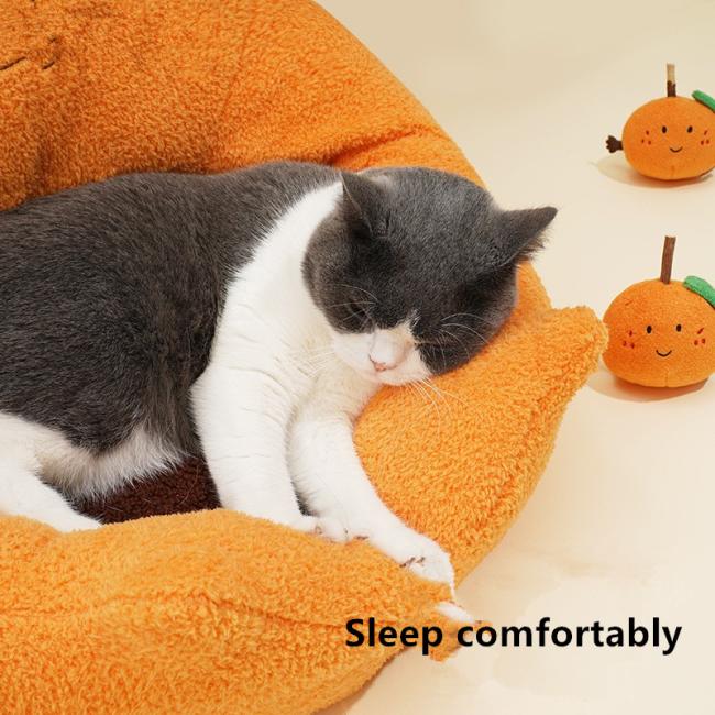 orange cat bed