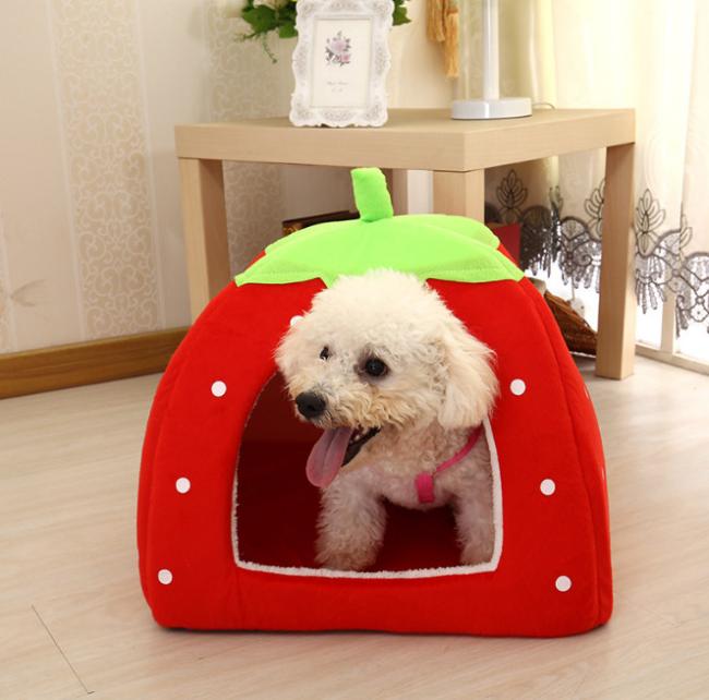 strawberry cat bed