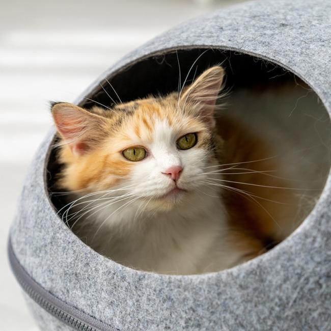 felt cat bed cave