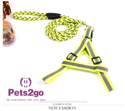 China Pet Training  Dog Shock Collar Puppies Tools Basic Concepts Learning Curve for sale